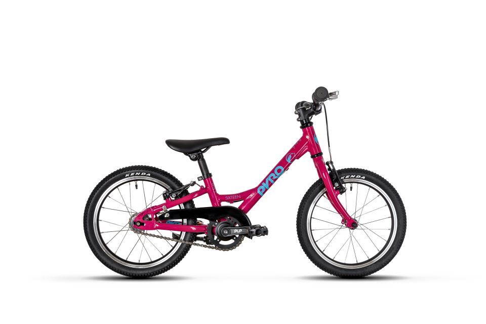 Sixteen Large magenta